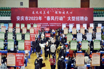 春风送真情  援助暖民心---安徽mansion88明升集团参加全市招聘会系列活动